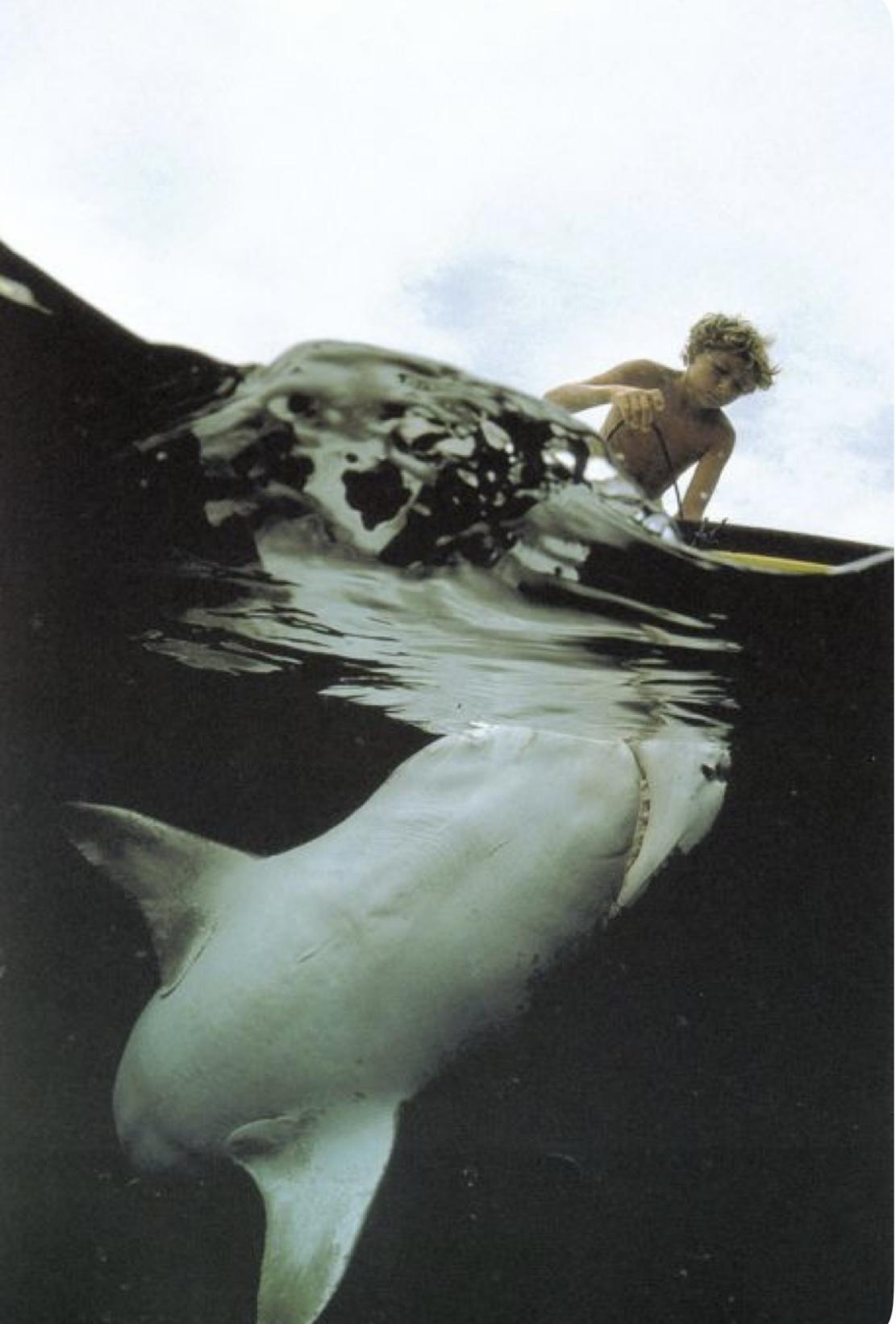 Tiburón cruzando la superficie del mar — metáfora visual de la profundidad